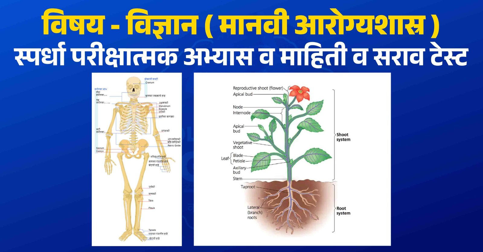 vidnyan vishaychi practice test