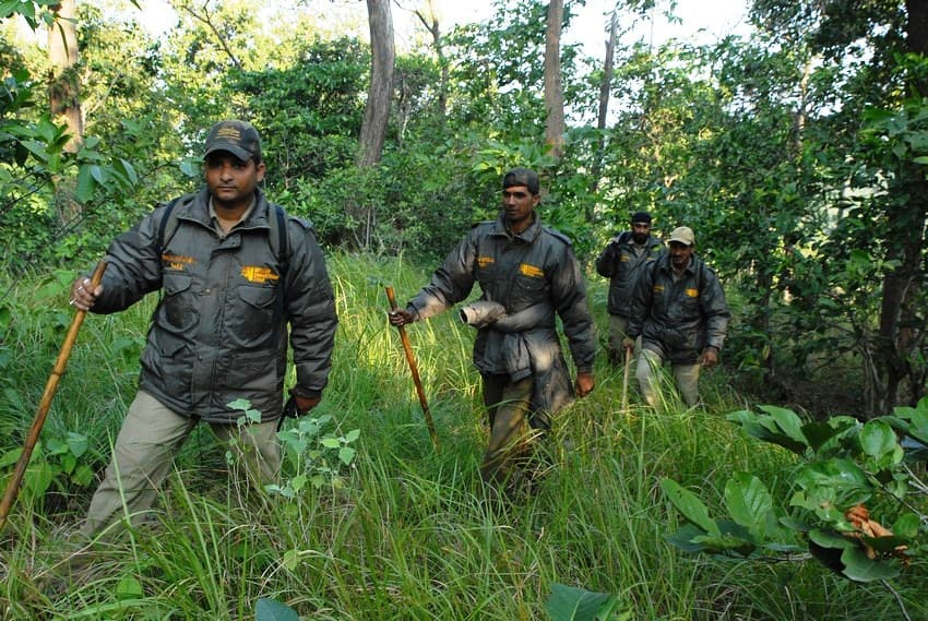 Maharashtra Forest Guard Recruitment